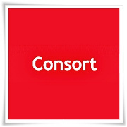 consort 2